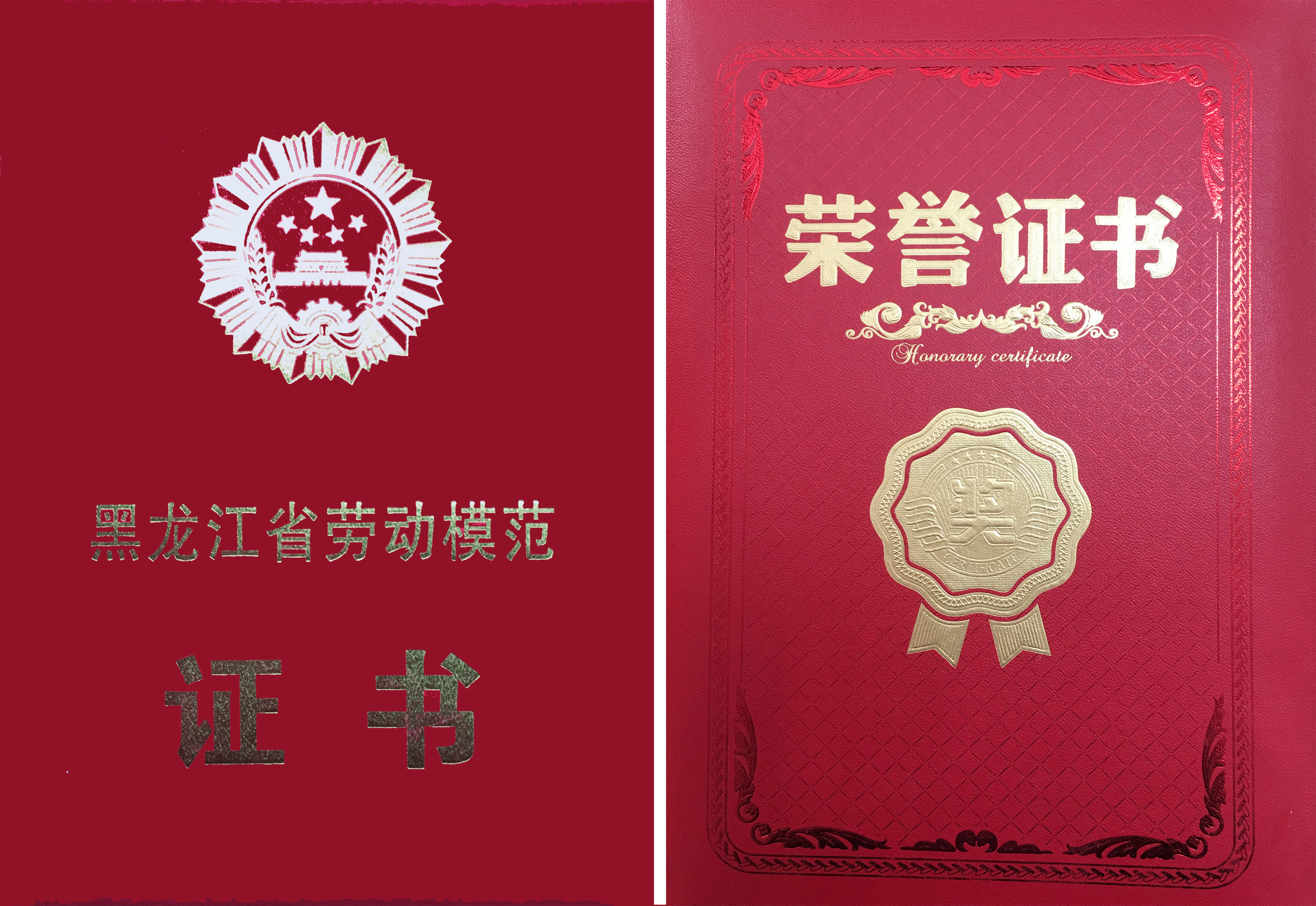 ������ʡ�Ͷ�ģ�� �������Ͷ�ģ��